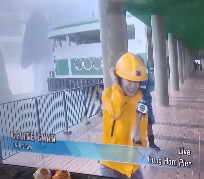 TVB明珠台主播陳尚萱曾在橫風橫雨的紅磡碼頭報道天氣。