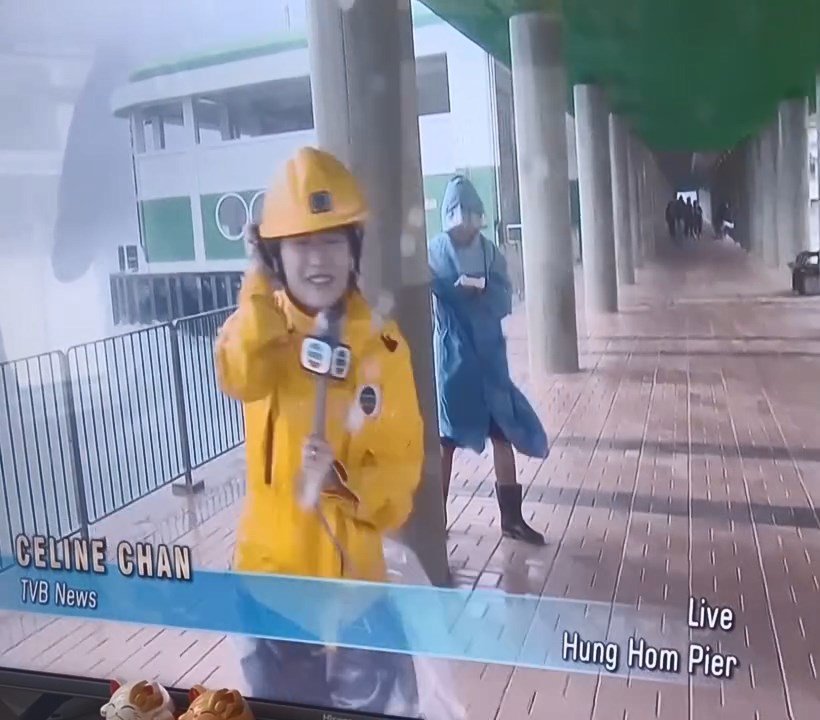 片段所見，陳尚萱穿上黃色雨衣及頭盔，在紅磡碼頭海傍拿着咪高峰報道。