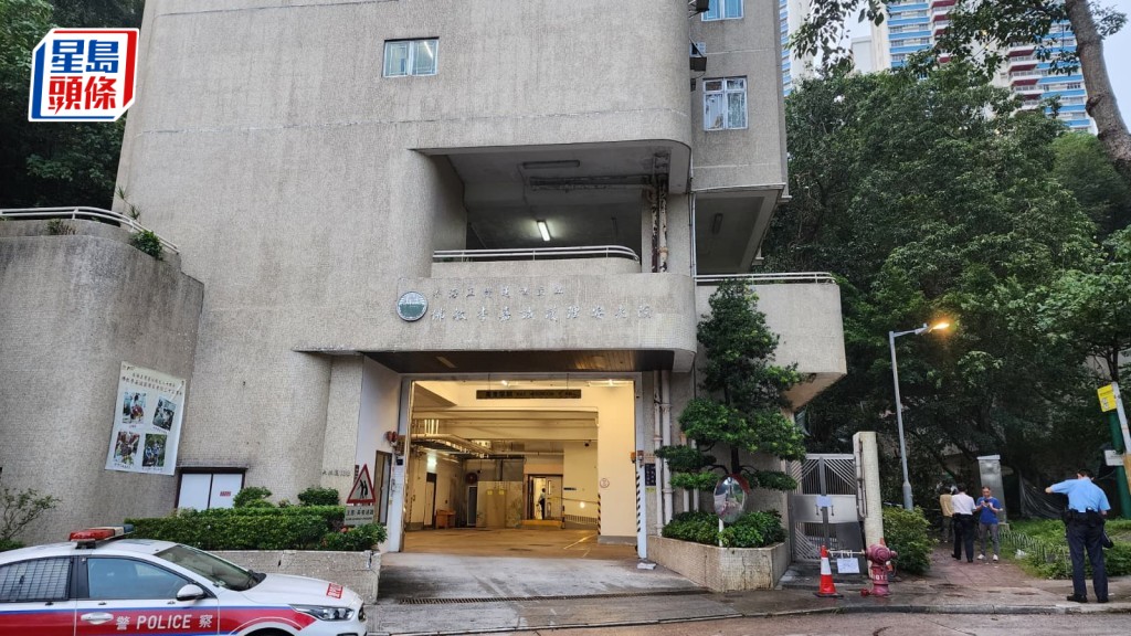 跑馬地大坑道30米高大樹斷枝 壓毀安老院外牆及食水管