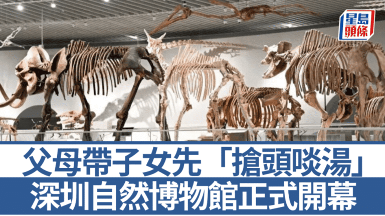 深圳自然博物館正式開幕 南方最大規模展逾七千件標本