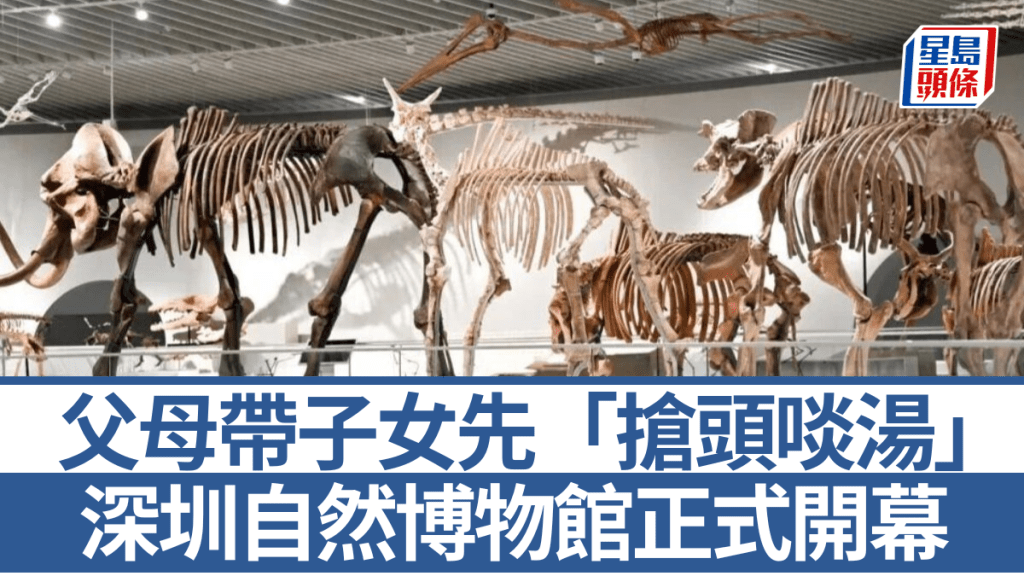 深圳自然博物館正式開幕 南方最大規模展逾七千件標本