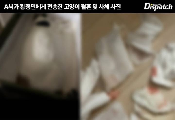 A某持續瘋狂傳訊及寄信，甚至寄送了貓屍照片和沾血紙巾給黃晸珉。