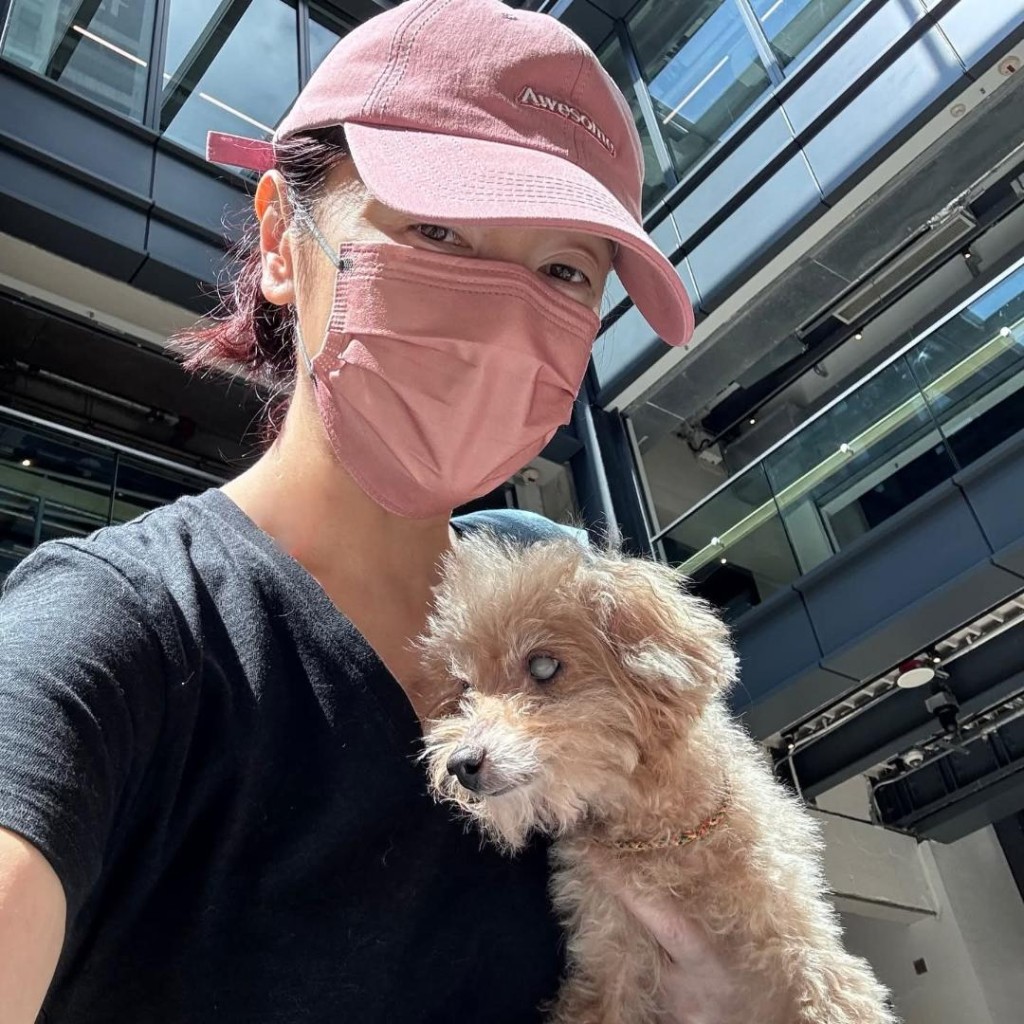 向海嵐離世的愛犬Chloe已達17歲高齡。