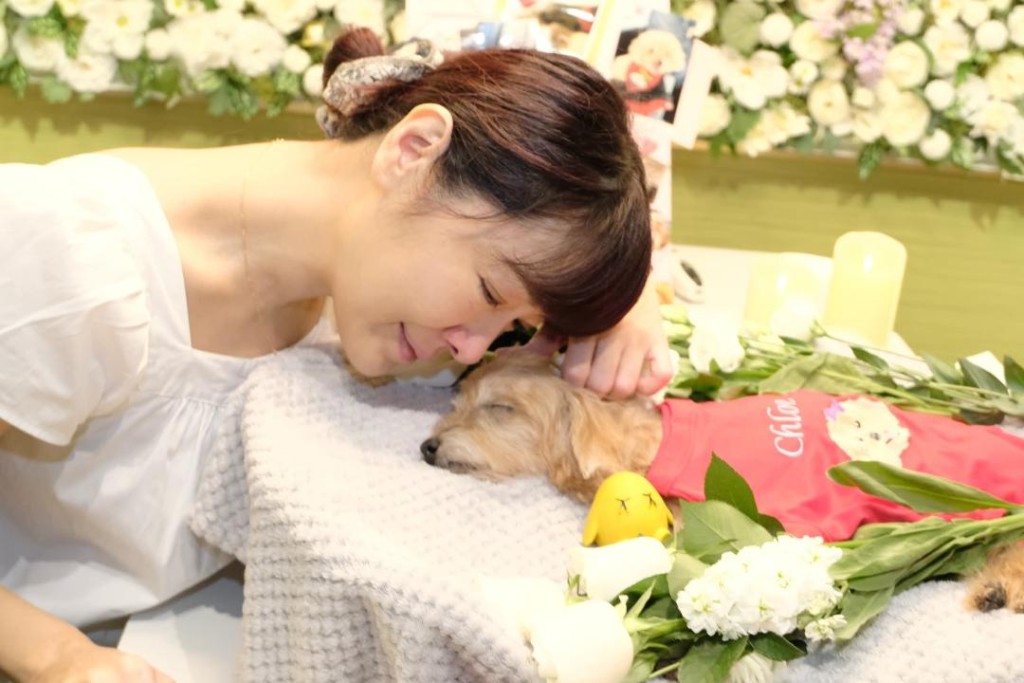對於愛犬的離世,向海嵐感到非常傷心。