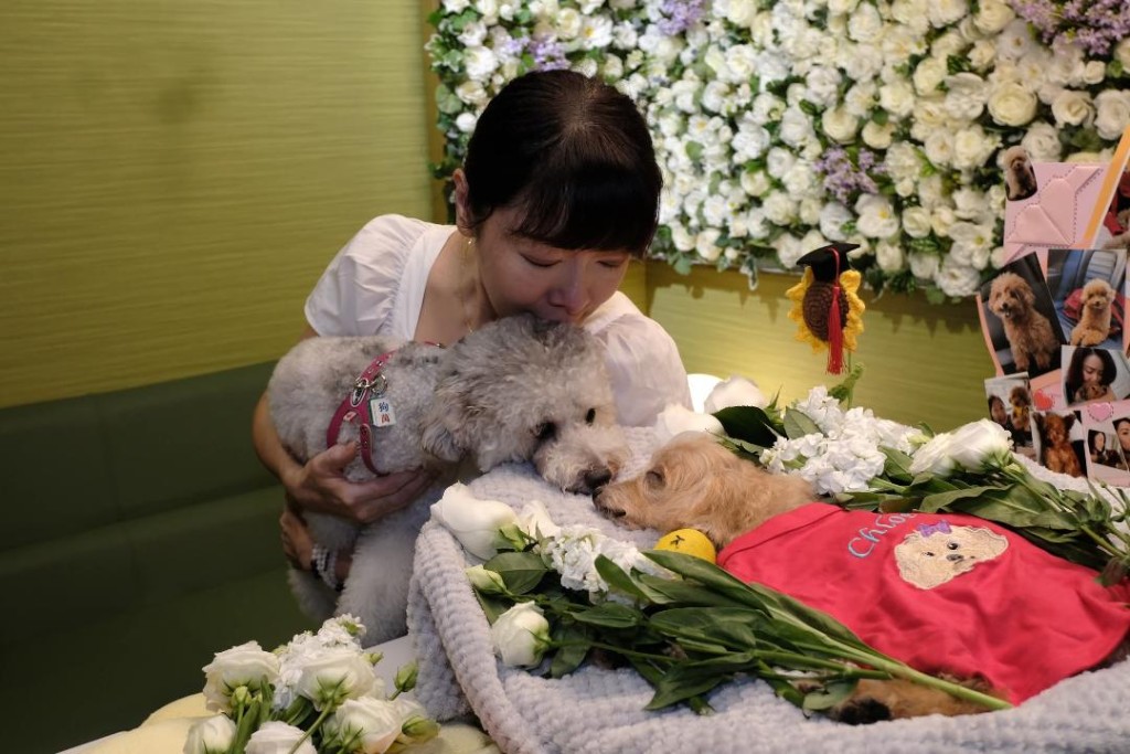 她家中一歲半的小狗也有前往送別Chloe。