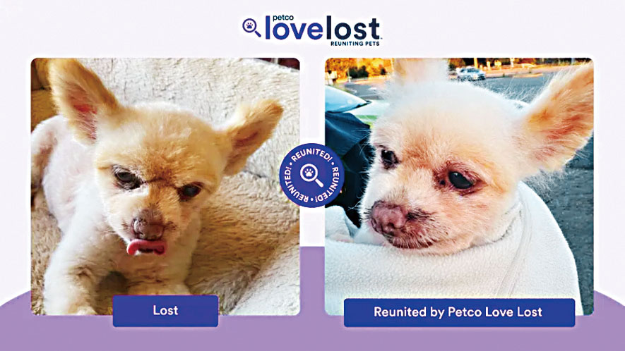 Petco Love Lost利用AI技術，幫助飼主尋找走失寵物。Petco Love Lost