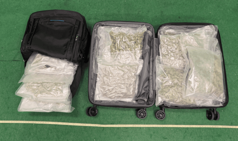 香港海關機場偵破跨境運毒案 檢獲市值80萬元大麻花拘捕兩內地男子