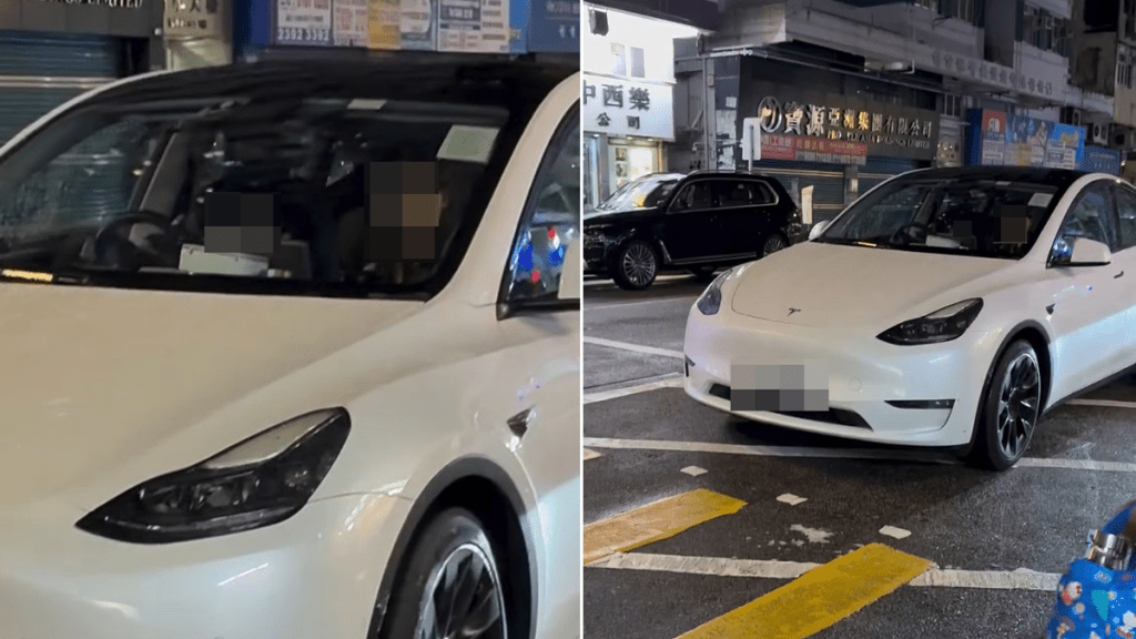 男童坐Tesla司機位操控軚盤 網上片段引發安全爭議