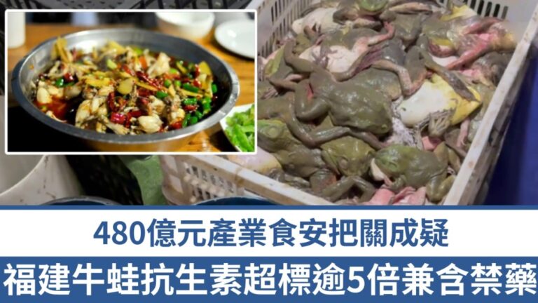 內地牛蛙抗生素超標逾5倍兼含禁藥 福建當局封存樣本全縣排查
