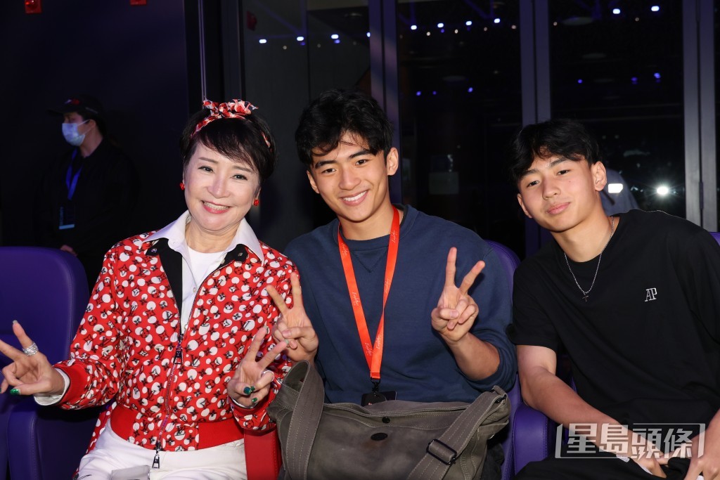 謝霆鋒的大仔及細仔去年曾現身支持爸爸開演唱會。