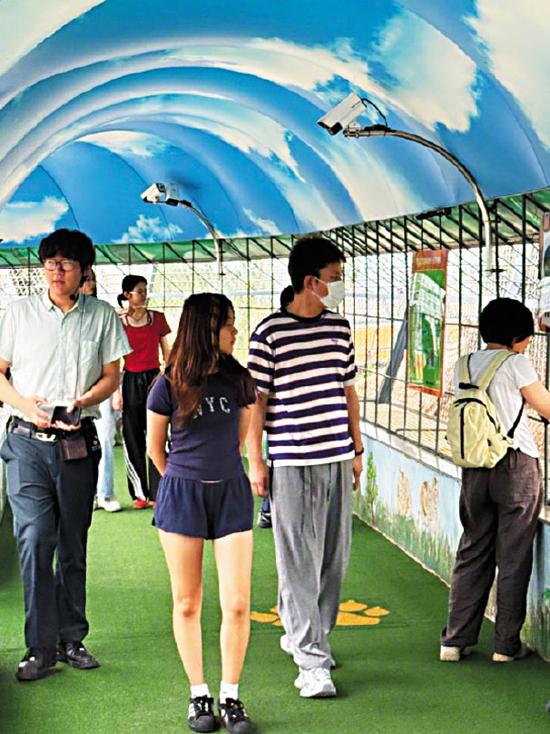 賈乃亮和女兒甜馨出現在哈爾濱東北虎林園。網上圖片