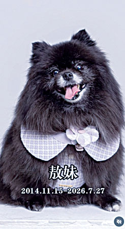 敖犬不捨愛犬「敖妹」離開。網上圖片