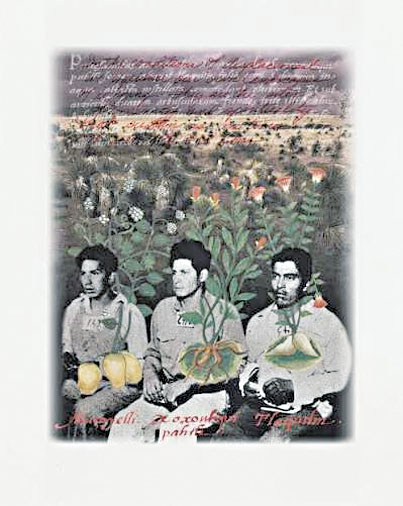 《Amalia Mesa-Bains》展現墨西哥裔藝術（奇卡諾藝術）奠基人梅薩-貝恩斯的作品。Cantor Art Center