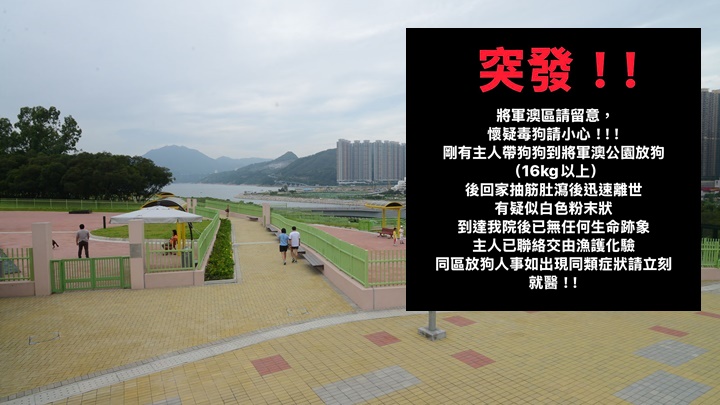 將軍澳寵物公園疑現毒狗事件 史賓格犬散步後不治