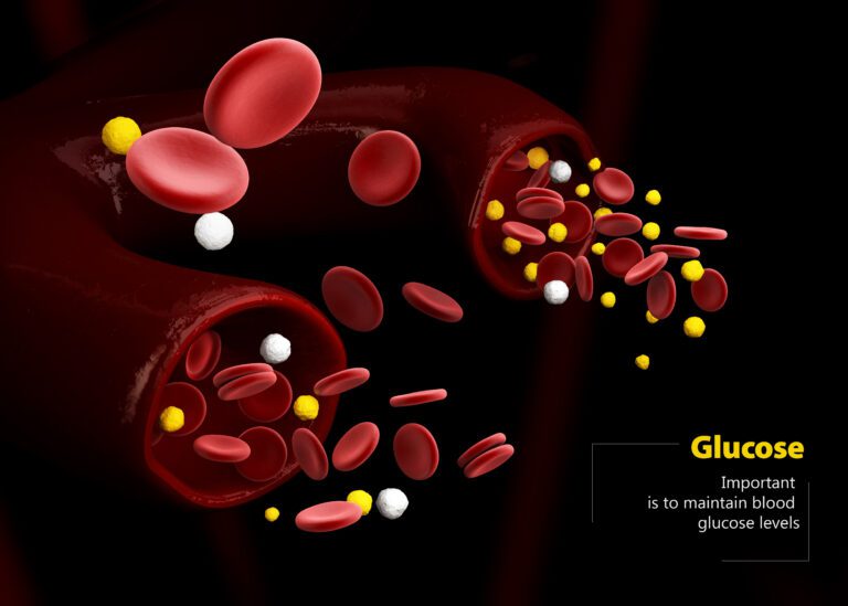 How High Blood Sugar Fuels Cancer Cells Revealed by Science - News Directory 3
