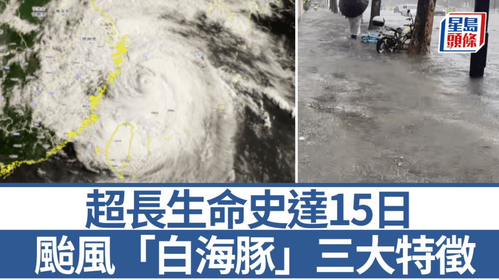 颱風「白海豚」三大特徵分析 生命史長達15天創紀錄