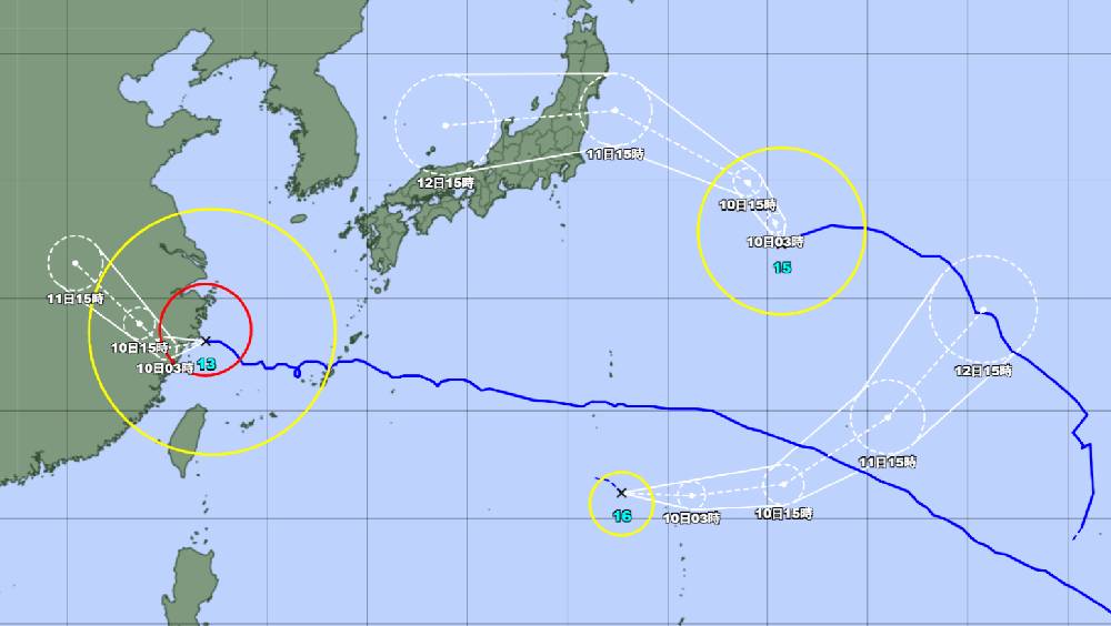西北太平洋三颱共舞 琵鷺生成與白海豚昌鴻同現