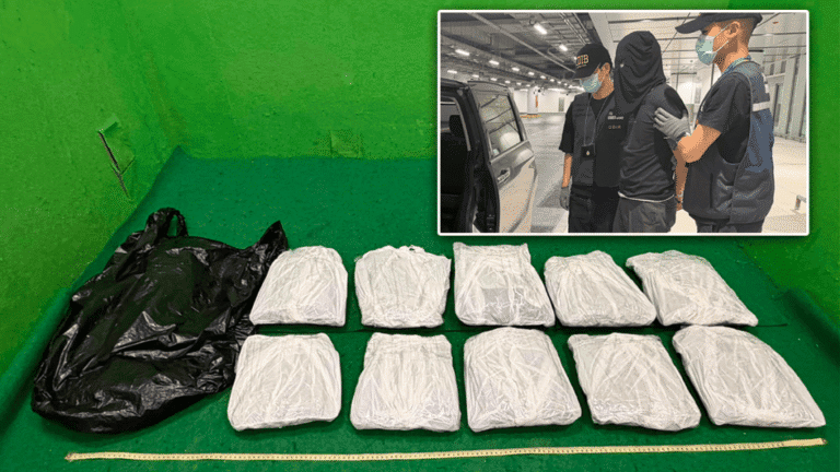 香港海關機場截獲寄艙行李藏毒案 檢110萬元大麻花拘一內地男子