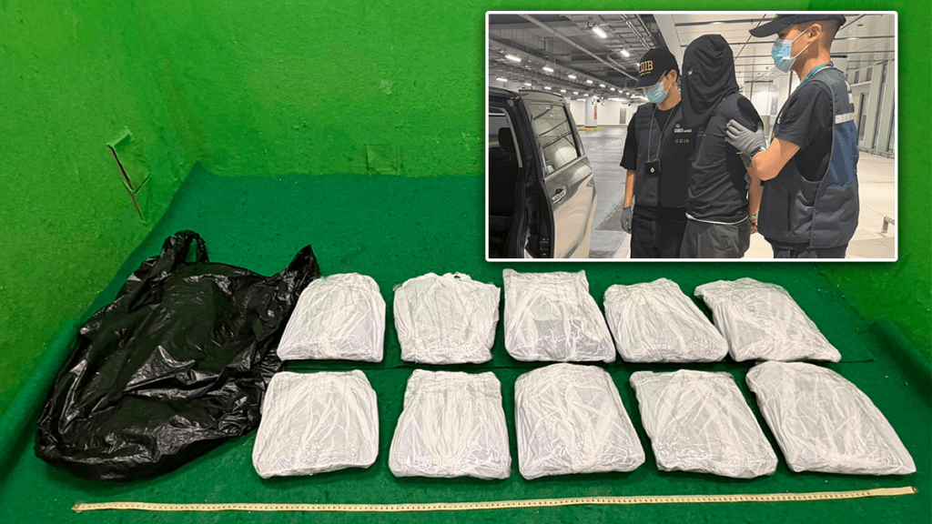 香港海關機場截獲寄艙行李藏毒案 檢110萬元大麻花拘一內地男子