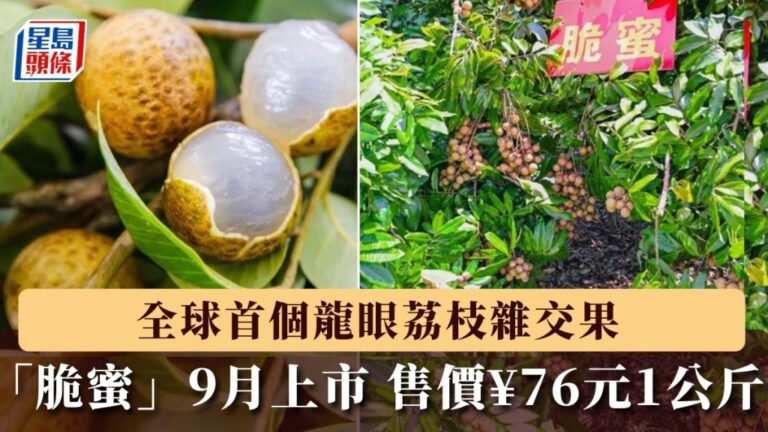 全球首個龍眼荔枝雜交品種「脆蜜」9月內地試賣 每公斤售76元