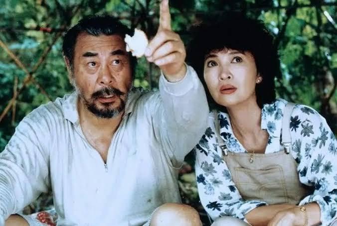 《女人四十》與《桃姐》曾在香港電影金像獎橫掃最佳電影、導演及男女主角獎。