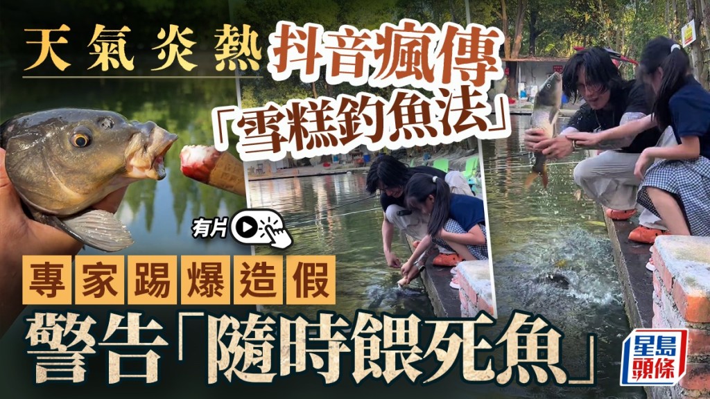 雪糕釣魚網絡熱傳 專家澄清屬騙局並警告健康生態風險