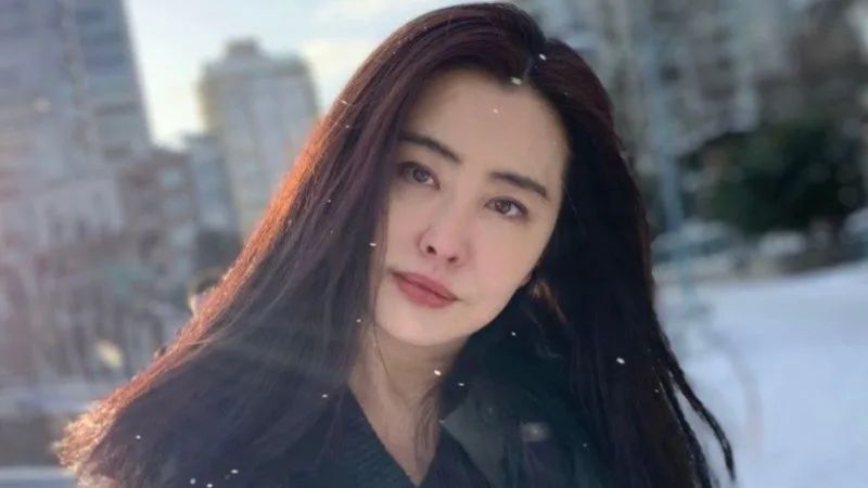 王祖賢於2004年拍畢《美麗上海》後正式息影。