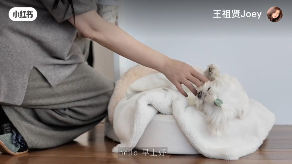 起床後第一件事,她會陪伴愛犬玩耍。