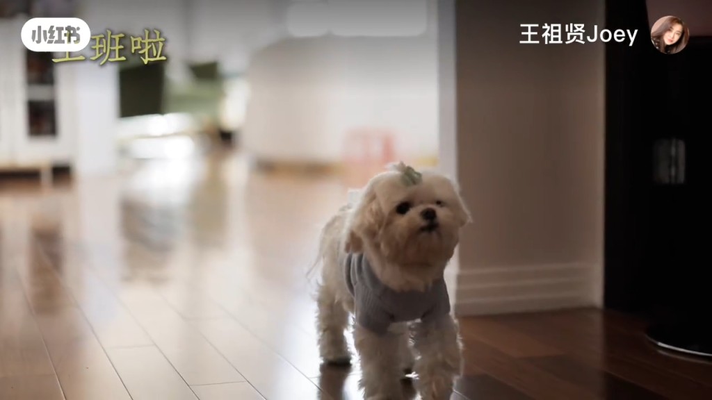 她的愛犬十分可愛,經常向主人撒嬌。