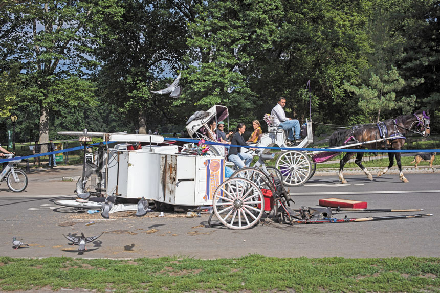 中央公園觀光馬車死亡事故發生在今年6月。 Dave Sanders/紐約時報
