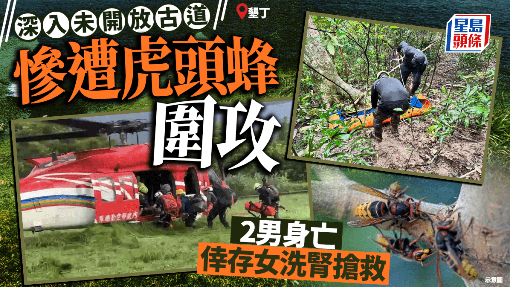 台灣墾丁虎頭蜂群襲擊 三名搜救員勘探古道釀兩死一重傷