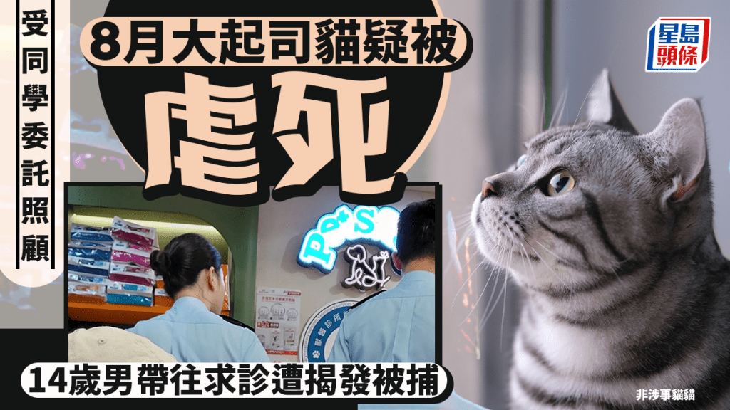 14歲男生疑虐死暫託貓隻 帶往求診時遭獸醫揭發被捕