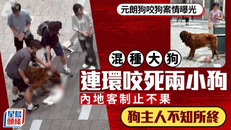 元朗YOHO發生狗隻襲擊事件 兩小型犬隻死亡 漁護署帶走涉事大狗