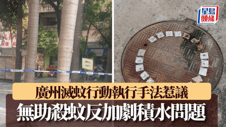廣州滅蚊行動執行手法引關注 水泥封樹坑膠布塞渠被指加劇積水