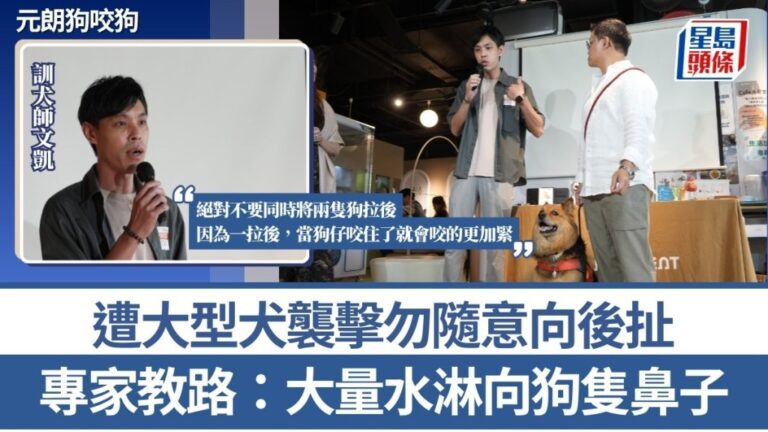 元朗狗咬狗事故引關注 專家詳解犬隻遇襲應對與預防措施