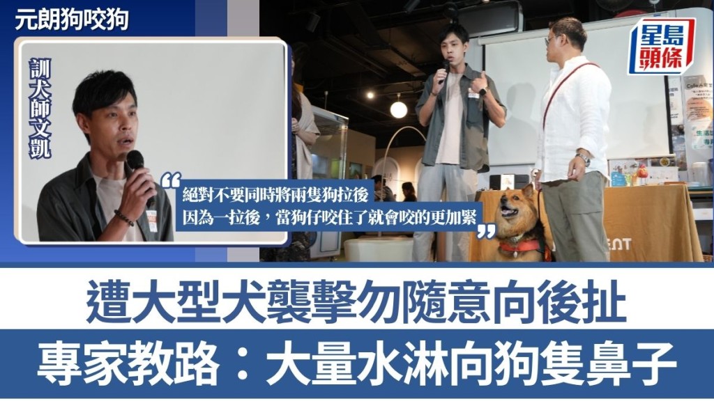 元朗狗咬狗事故引關注 專家詳解犬隻遇襲應對與預防措施