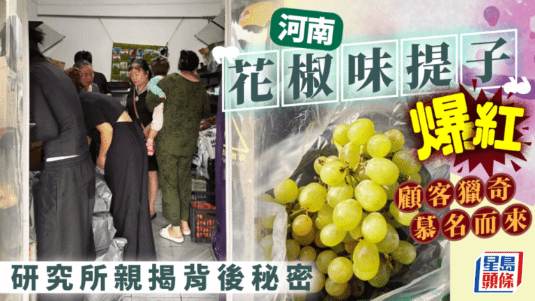 鄭州試推「花椒味葡萄」新品種 市場反應熱烈供不應求