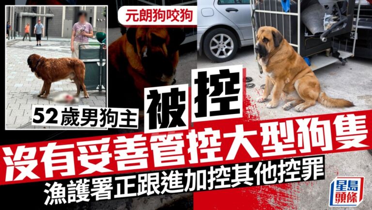 元朗狗咬狗事件 52歲男狗主被控未妥善管控大型犬隻 明提堂