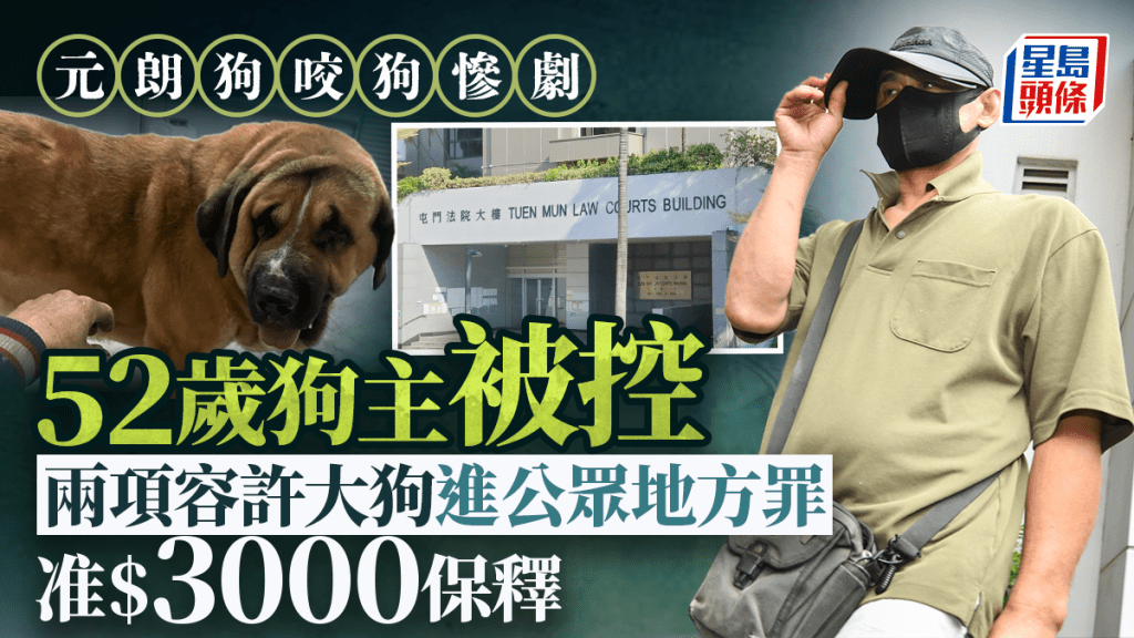 元朗狗隻襲擊事件 男狗主涉違規牽引被控兩罪獲准保釋