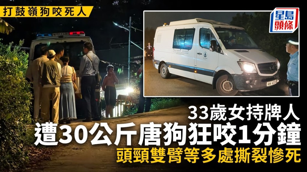 打鼓嶺狗場致命事故 33歲女持牌人遭大型唐狗襲擊身亡