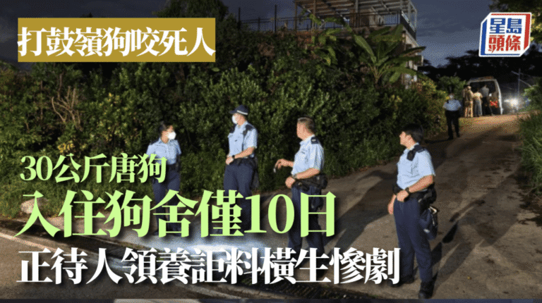 打鼓嶺狗場致命事故 待領養唐狗襲擊女負責人
