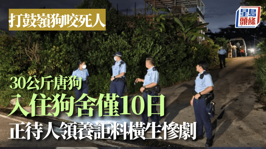 打鼓嶺狗場致命事故 待領養唐狗襲擊女負責人