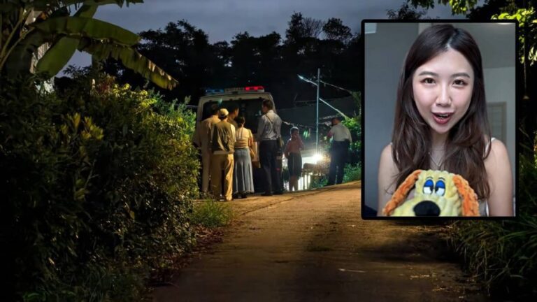 香港打鼓嶺發生狗隻襲擊致命事件 引發內地網民對大型犬飼養的討論