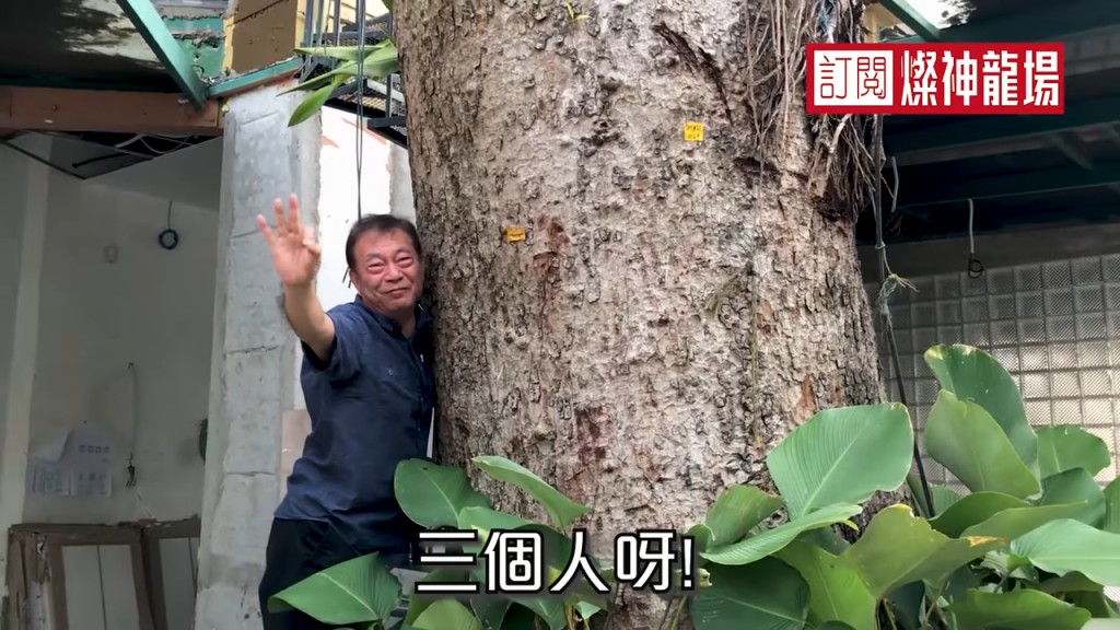 門口有一棵大樹。
