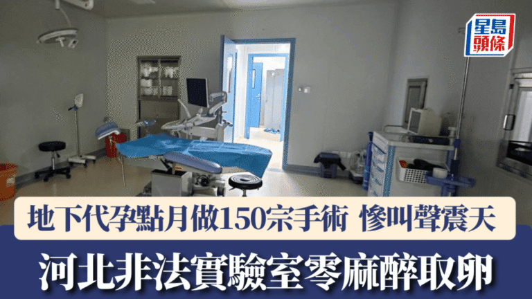 河北揭大型地下代孕手術室 月處理150宗 無麻醉取卵手法惹關注