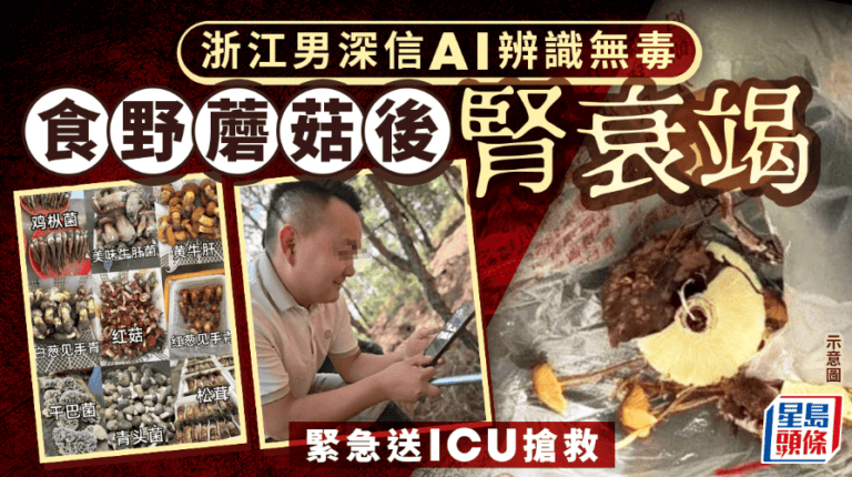 AI辨菇失準 浙江男子誤食毒菇致急性腎衰竭