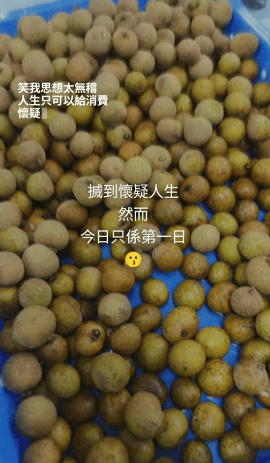 蘇君蕎笑言搣龍眼的過程,讓她有點懷疑人生。