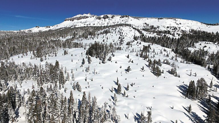 城堡峰一帶今年2月雪崩， 9名滑雪人士及嚮導死亡。美聯社資料圖片