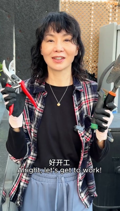 天台上擺放了多個大型工具收納櫃。