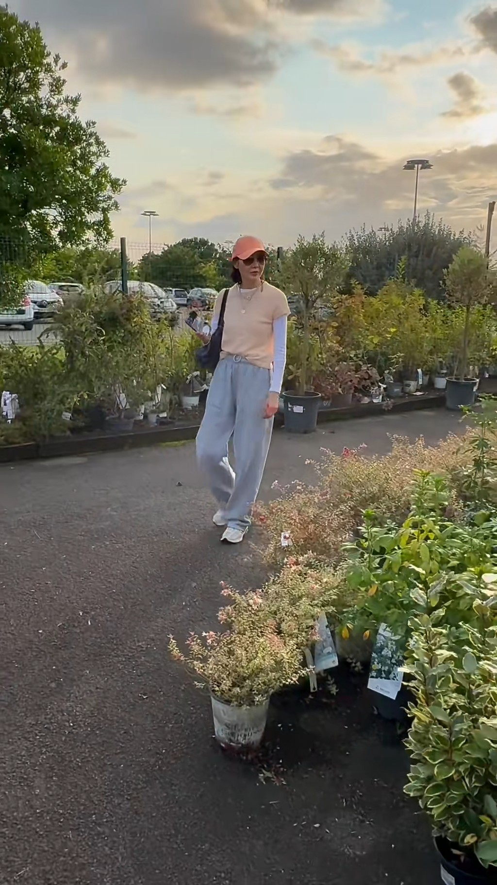 張曼玉早前已到處尋找合適的種子。